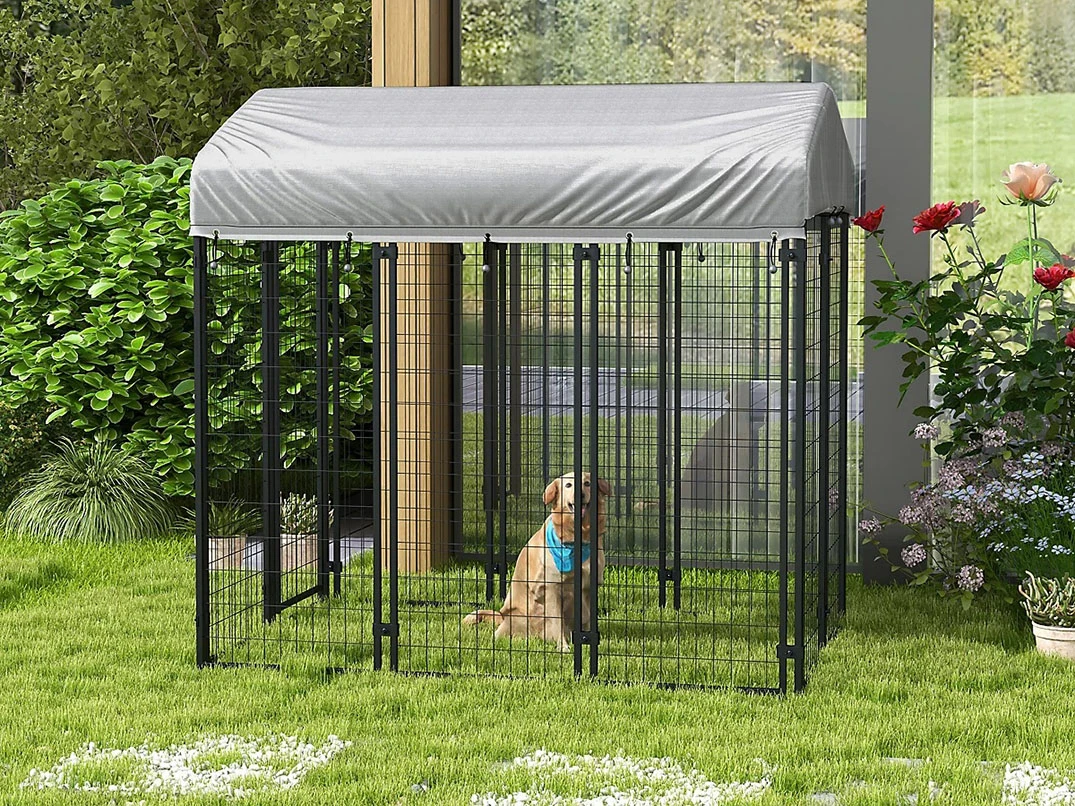 Köpek Çiti Nedir? Ne İşe Yarar?