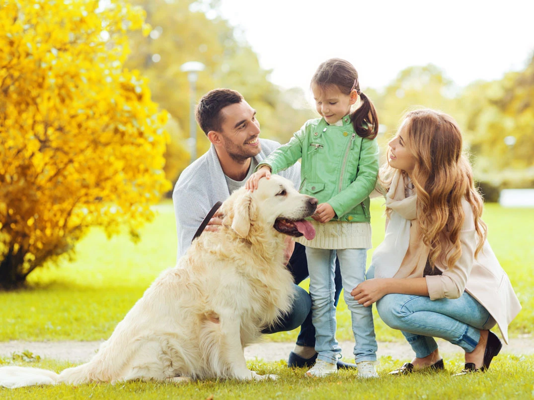 Yeni Köpekle Bağ Kurma Yöntemleri ve İpuçları