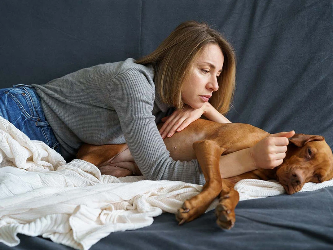 Köpeklerde En Sık Görülen Mide Problemleri ve Tedavisi