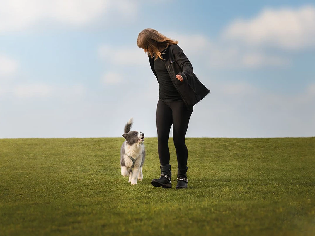 Yavru Köpek Eğitimi Nasıl Verilmelidir? Adım Adım Rehber