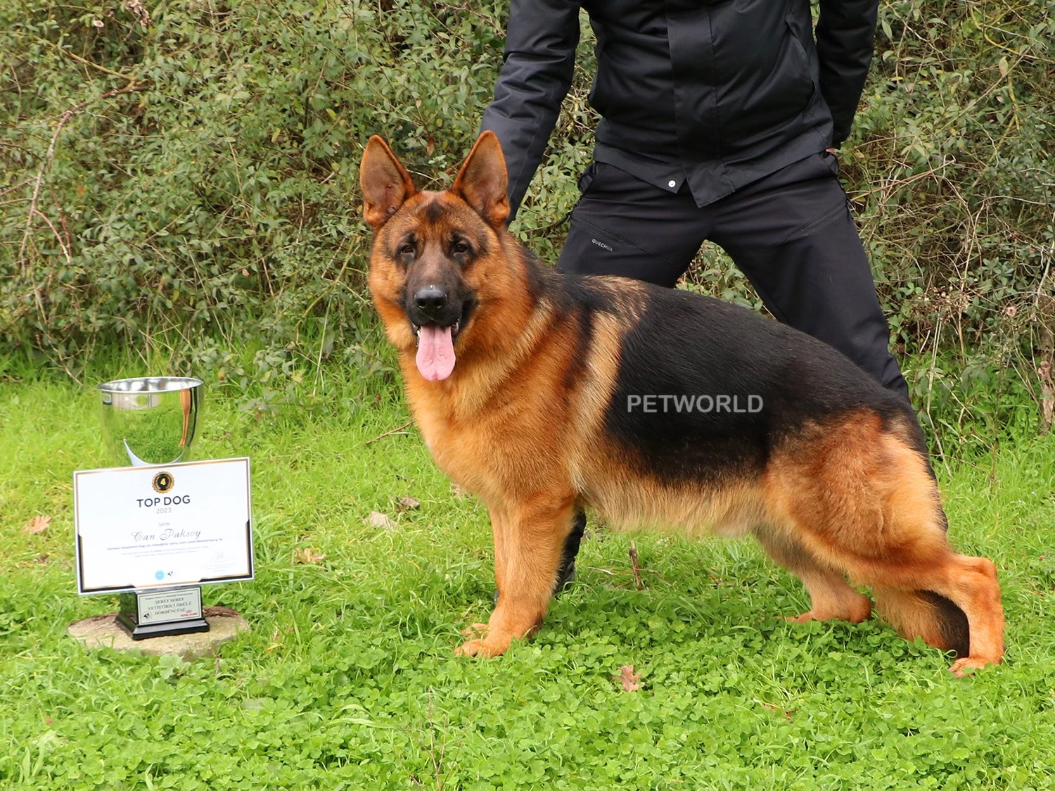 Alman Çoban Köpeğimiz Garry bizleri gururlandırdı