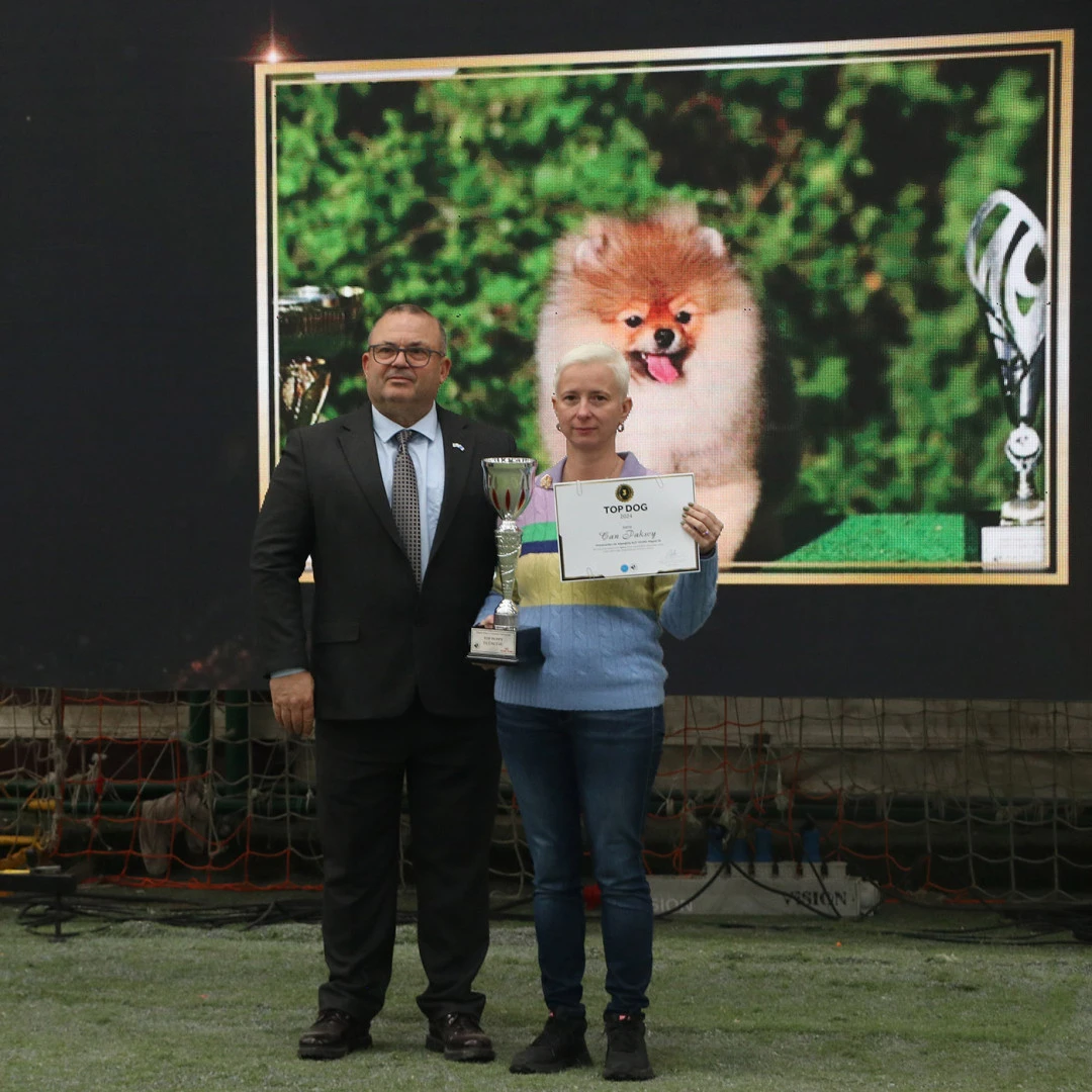 Pomeranian Köpeğimiz Miguel yavru köpekler katogorisinde 2024 TOPDOGG ödülünü kazandı