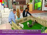 Köpek ırkları uzmanı Can Paksoy, Herşey Dahil programına katıldı