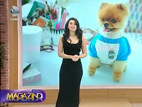 Kanal D Magazin'e elit yavrularımız ile misafir olduk