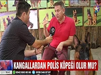 Elit Yavru Çiftliğimiz Star Tv Anahaber'e konuk oldu