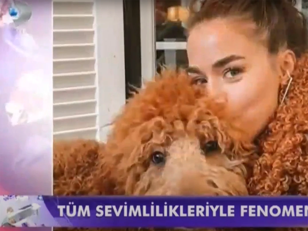 Sevgili Bensu Soral'ın Labradoodle dostu Bruno'dan Kanal D Magazin ekranlarında bahsettik