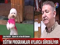 Çiftliğmizin eğitimlerini Star Ana Haber'de anlattık