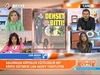 Oyuncu Berk Oktay'ın agresif köpeği Cash'i Can Paksoy Beyaz tv'de anlattı