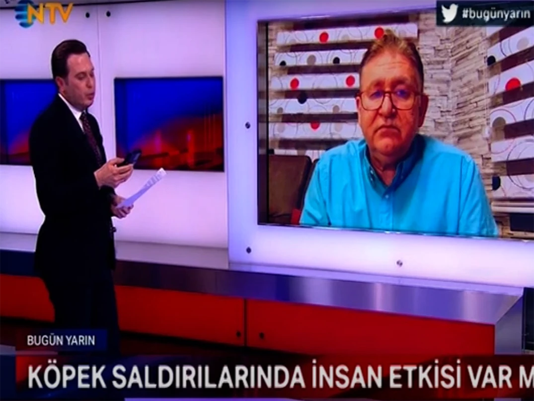 NTV haber ekranlarında Irk ve Davranış Uzmanı Can Paksoy artan köpek saldırılarının sebeblerini anlattı