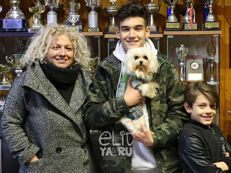 Akar Ailesi, Maltese Terrier cinsi elit yavrumuza sahip oldu