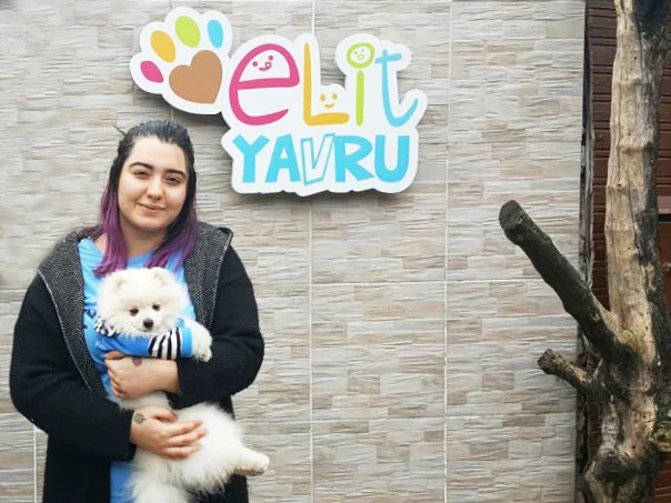 Alara Hanım, Pomeranian cinsi elit yavrusuna kavuştu