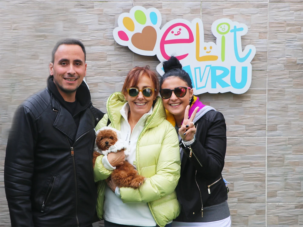 Alev Hanım ve ailesi, Toy Poodle yavrularına kavuştu