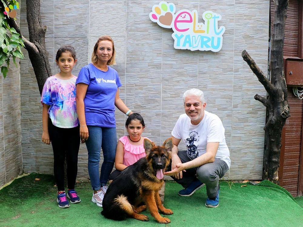 Alman Çoban Köpeği Karamel, eğitimini tamamladı