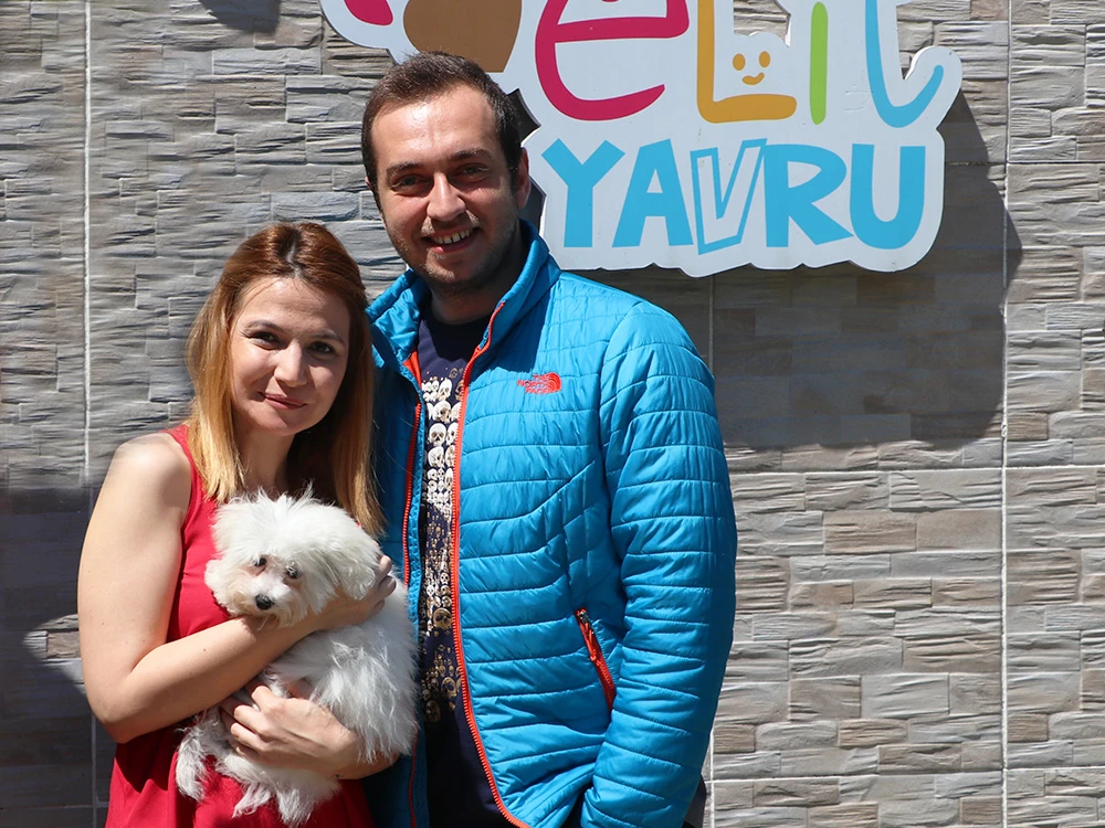 Arıkan Ailesi, Maltese Terrier elit yavrusuna kavuştu