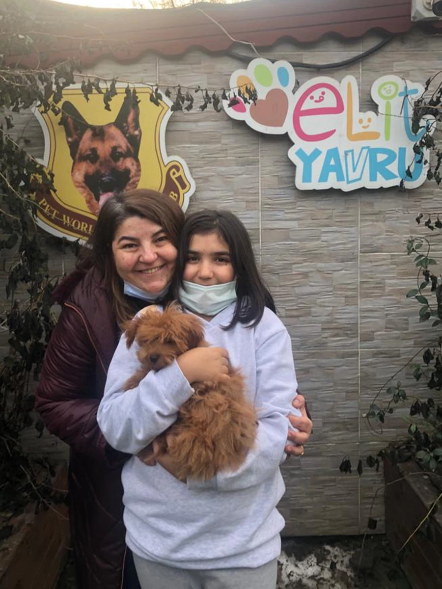 Arzu Hanım ve kızı Kızıl renk Poodle yavruları Tarya'ya kavuştu