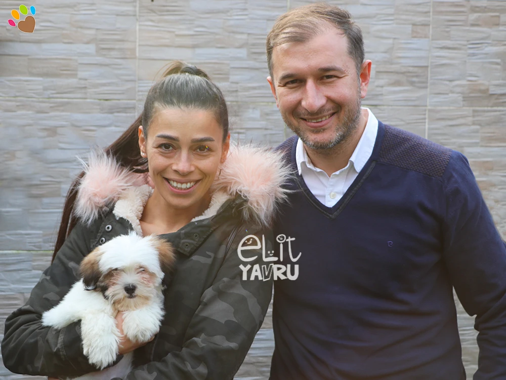 Aslı Hanım ve Ailesi, Coton de Tulear yavrularına kavuştu