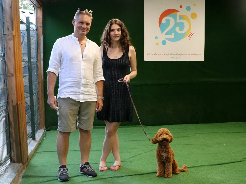 Balcıoğlu ailesinin Poodle dostu Teddy Temel İtaat eğitimini ingilizce olarak tamamladı