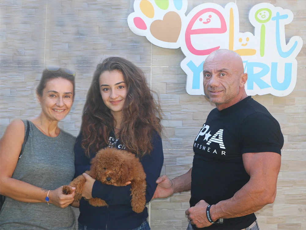 Baltacıoğlu Ailesi, Toy Poodle yavruları Toffee'ye kavuştu