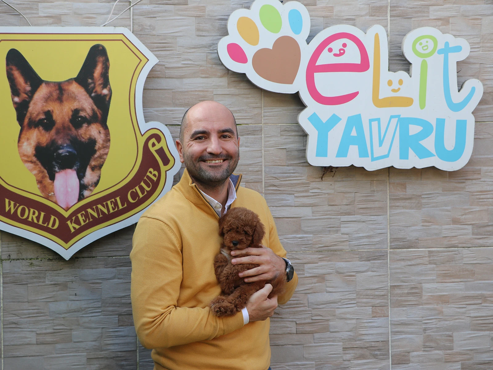 Başkaya ailesi Red Brown Poodle yavrularına kavuştu