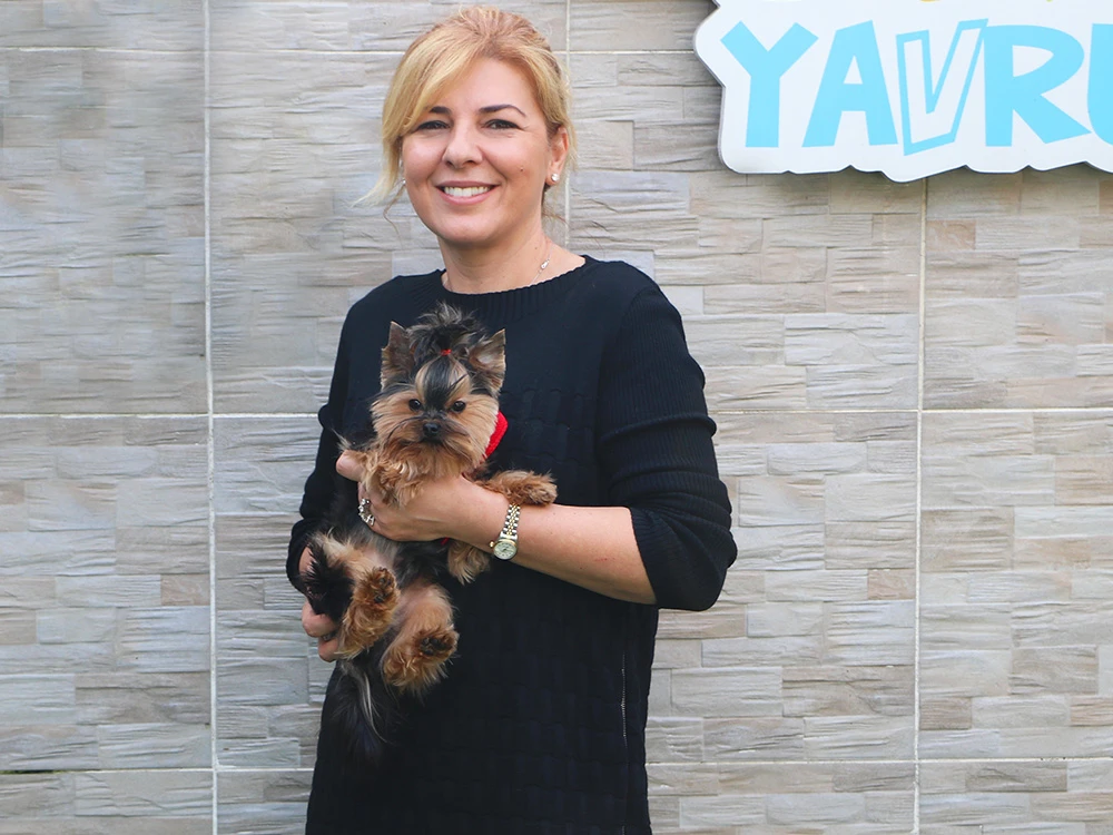 Beril Hanım, Yorkshire Terrier elit yavrusuna kavuştu