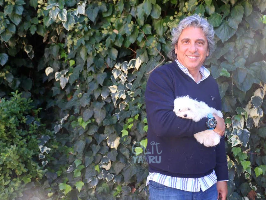 Bodrum'dan İsmail Bey'in Maltese Terrier yavrusu