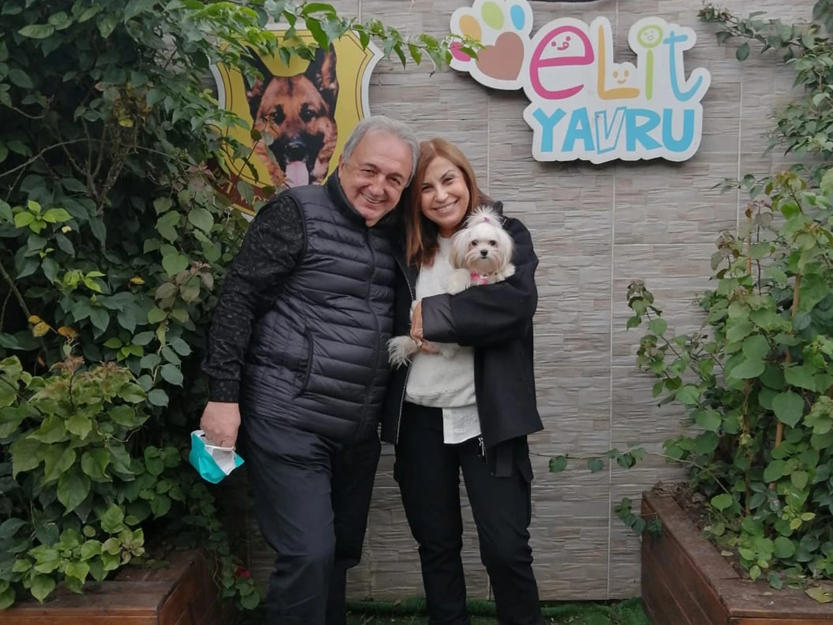 Bolu'dan Serdar Bey ve ailesi Teacup Morkie yavrularına kavuştular