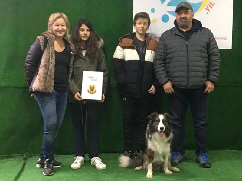 Border Collie Lucky, eğitimini başarıyla tamamladı