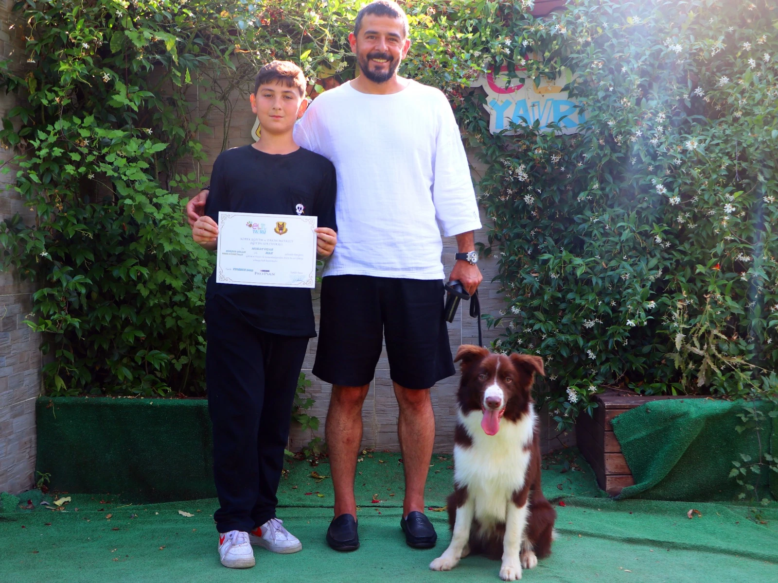 Border Collie Oğlumuz Max ailesine kavuştu