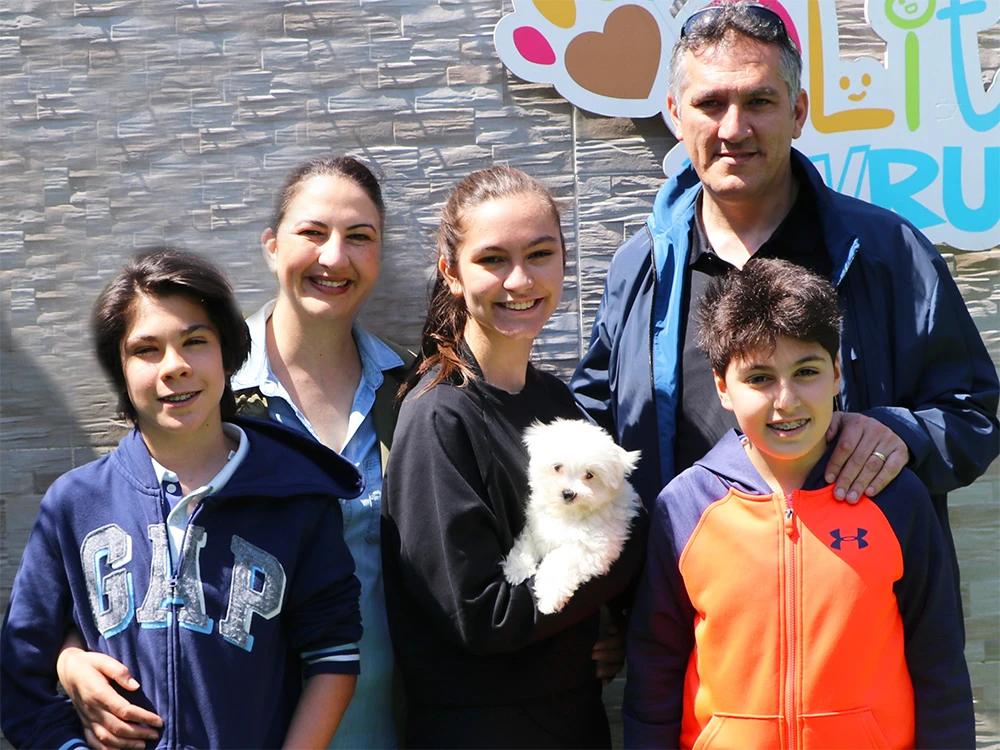 Bozkurt Ailesi ve Maltese Terrier elit yavruları çok mutlu