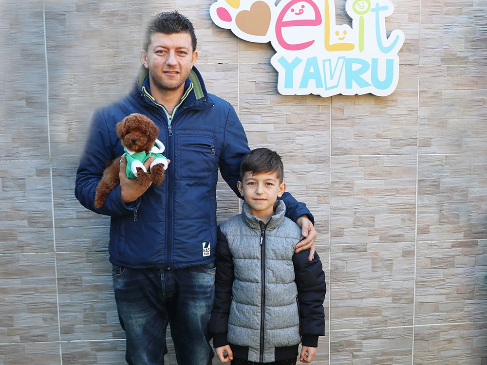 Bursa’dan Sinan Bey, Toy Poodle elit yavrusuna kavuştu