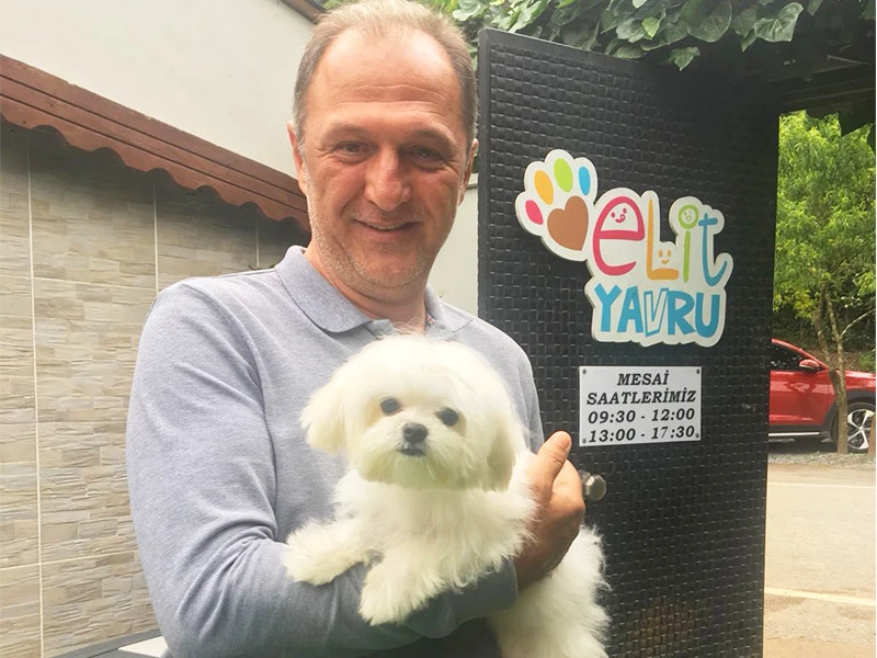 Cansız Ailesi'nin Maltese Terrier yavruları pansiyonumuzda