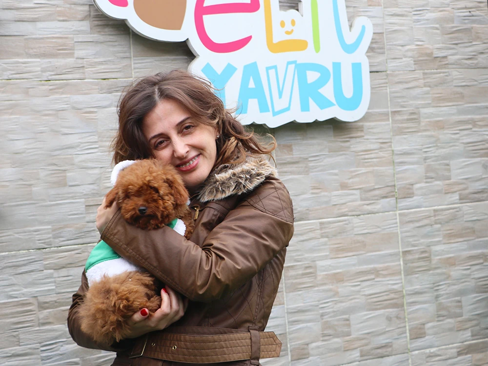 Çiğdem Hanım, Toy Poodle elit yavrusuna kavuştu