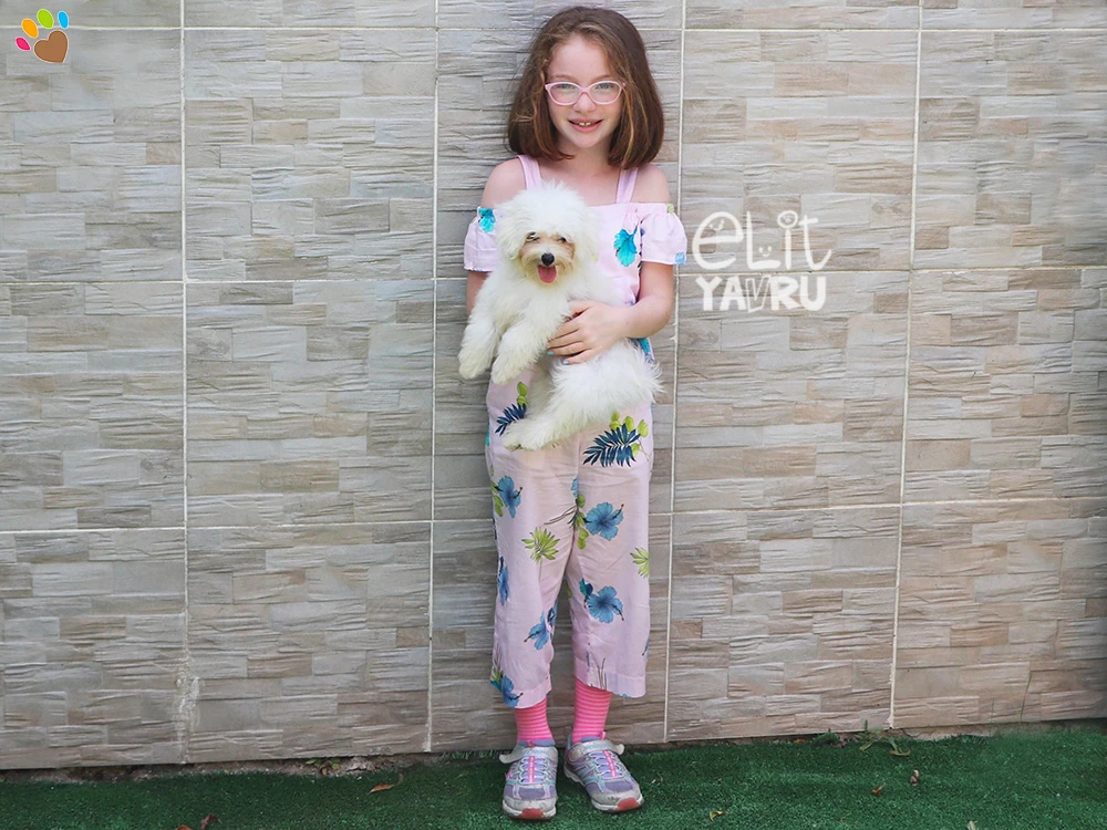 Çırpın Ailesi, Maltese Terrier elit yavrularına kavuştu