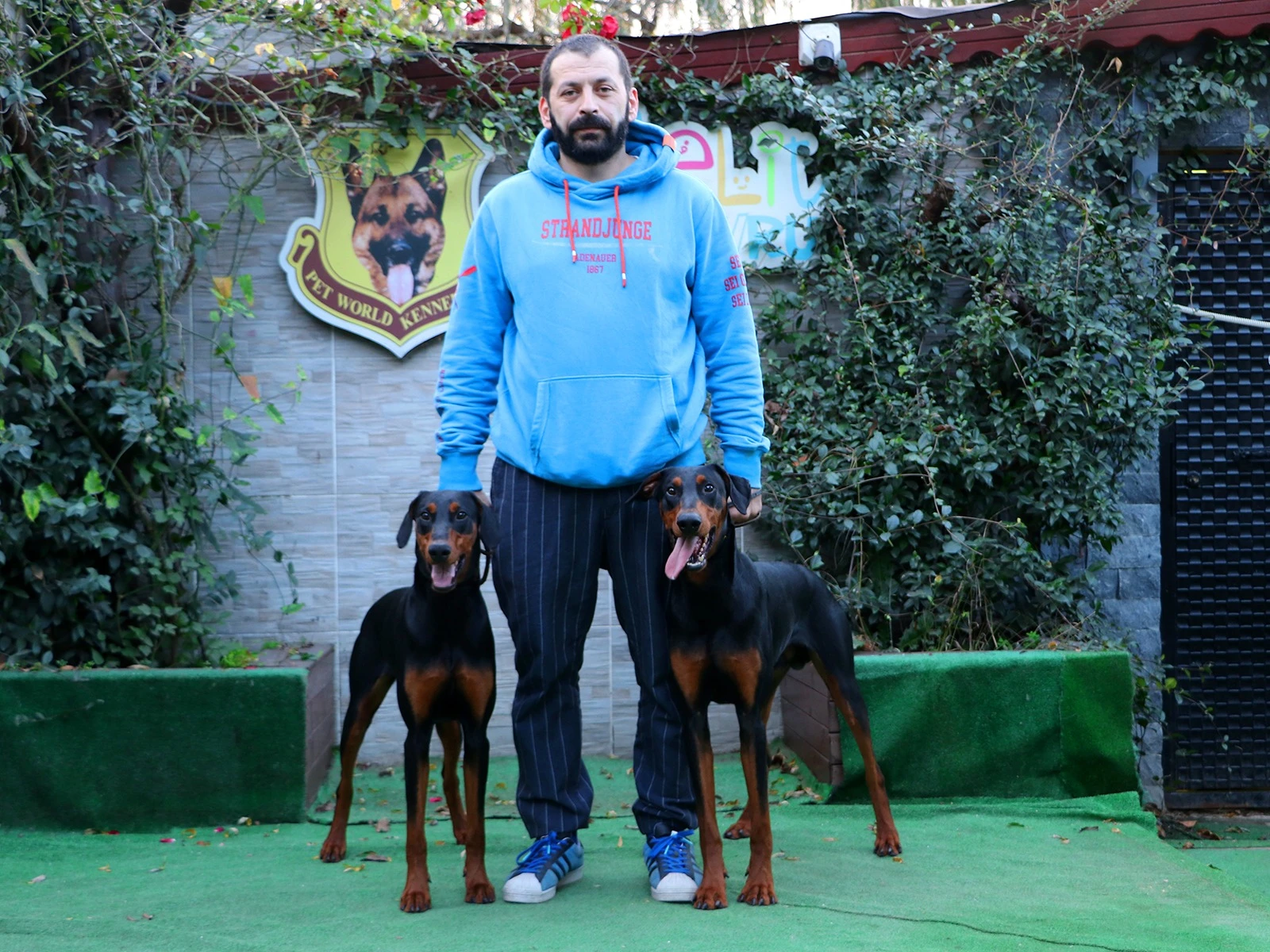 Doberman dostlarımız Pablo ve Liya mezun oldular