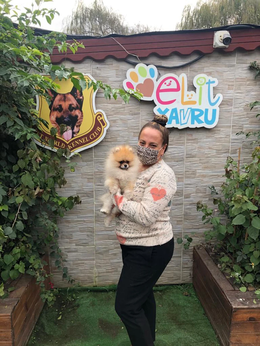 Ebru Hanım Pomeranian dostuna kavuştu.