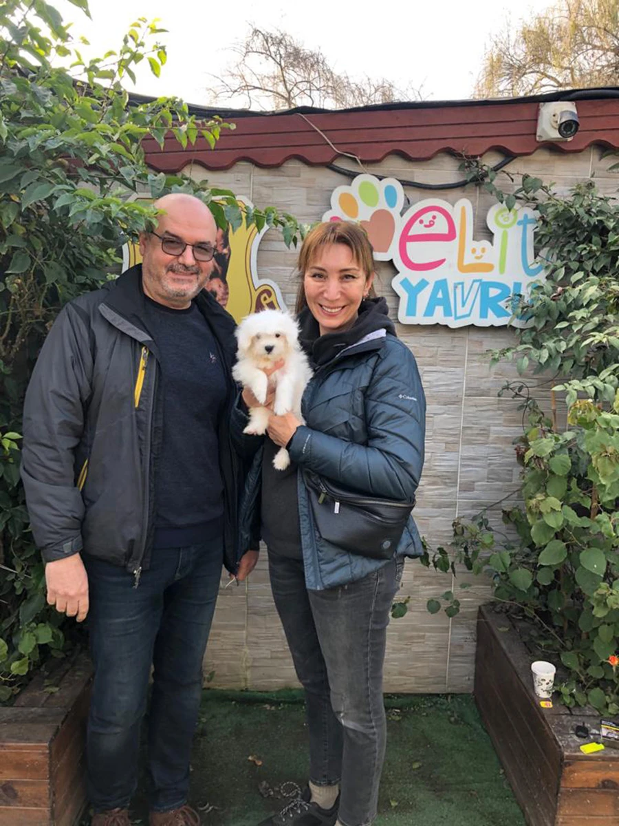 Ercüment Bey Coton de Tulear yavrusu Arya'ya kavuştu