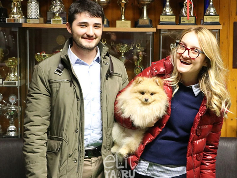 Eren Ersungur, Pomeranian cinsi elit yavrusuna kavuştu