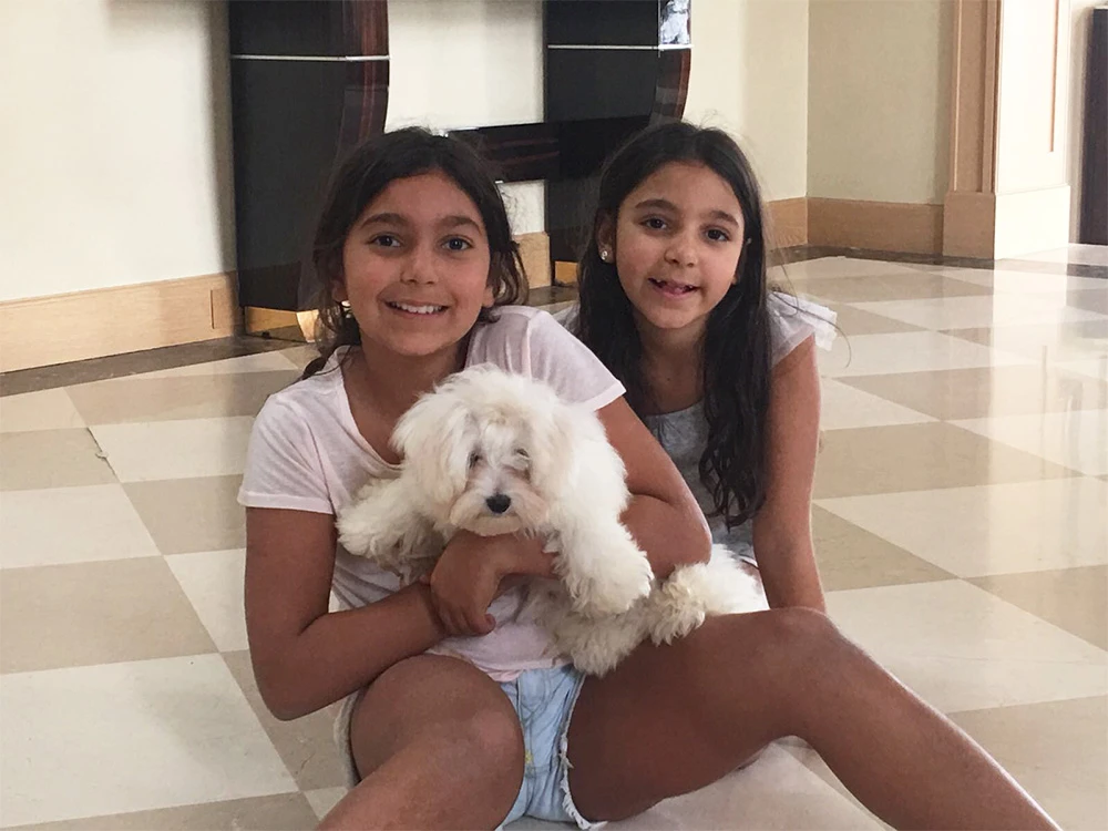 Ahmet Faralyalı Ailesi, Maltese Terrier elit yavrularına kavuştu