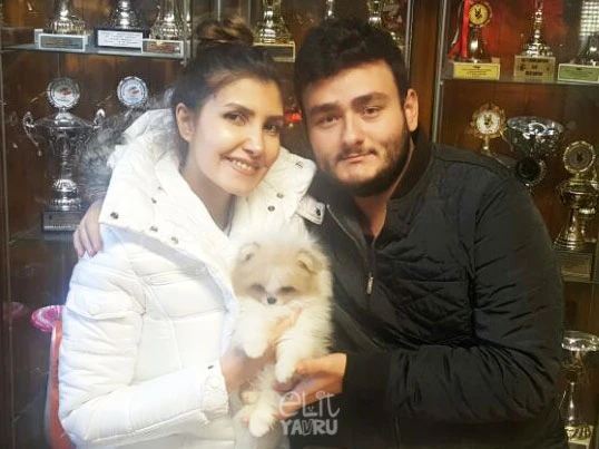 Fikret&Yelda Sular çifti Pomeranian yavrusuna kavuştu