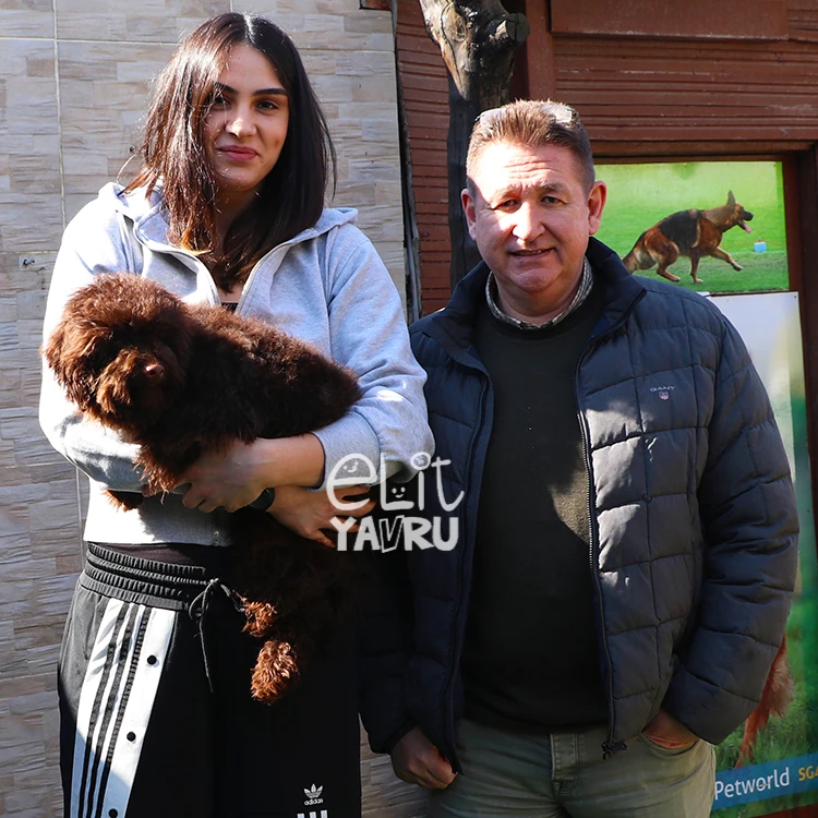 Galatasaraylı Bircan Gökdemir ve Poodle elit yavrusu