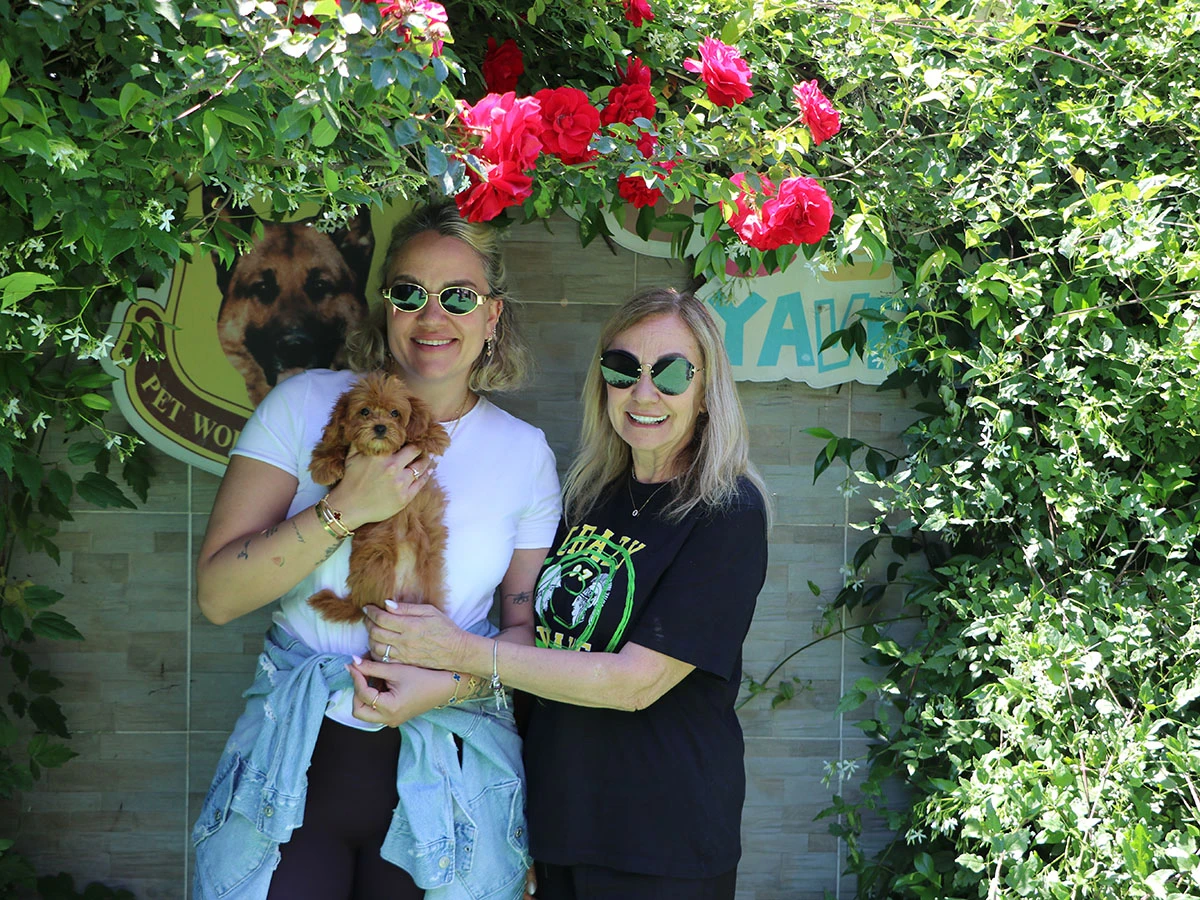 Gizem Hanım ve ailesi Teacup Maltipoo yavrularına kavuştular