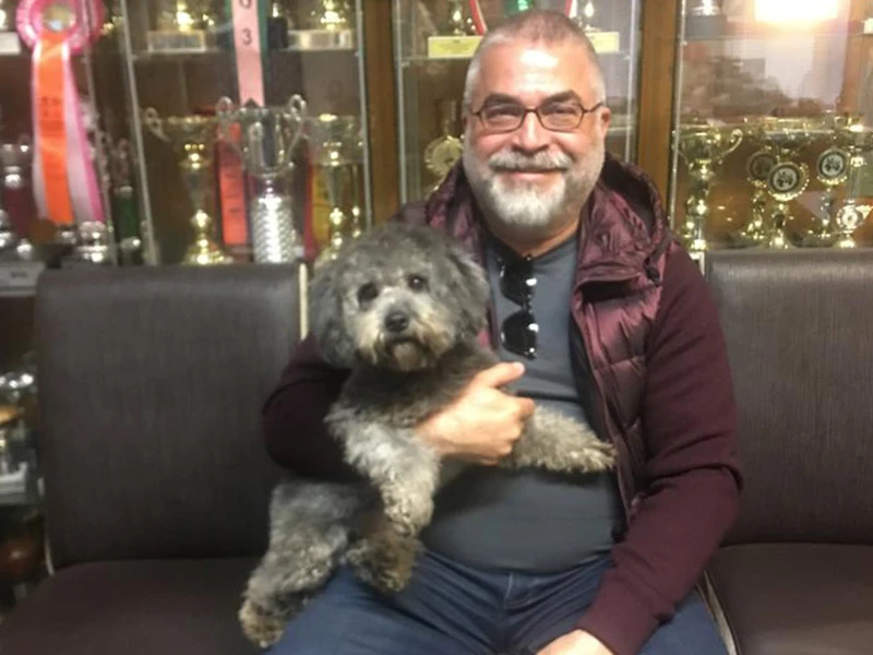 Hakan Ayvaz'ın Poodle Silver'ı eğitimini tamamladı