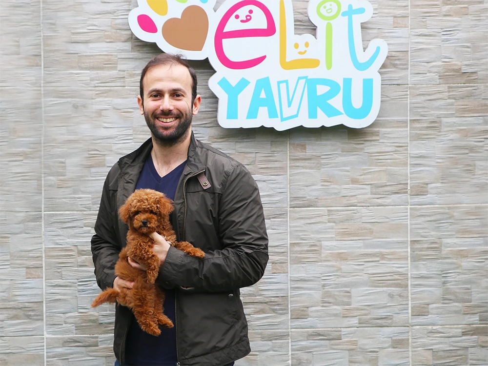 Hakan Bey, red-brown Toy Poodle sahibi oldu