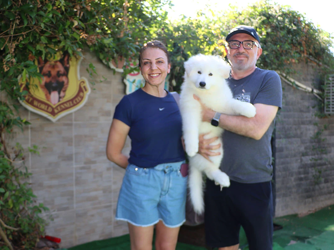 İbrahim Bey Beyaz Alman Çoban Köpeği yavrusuna kavuştu