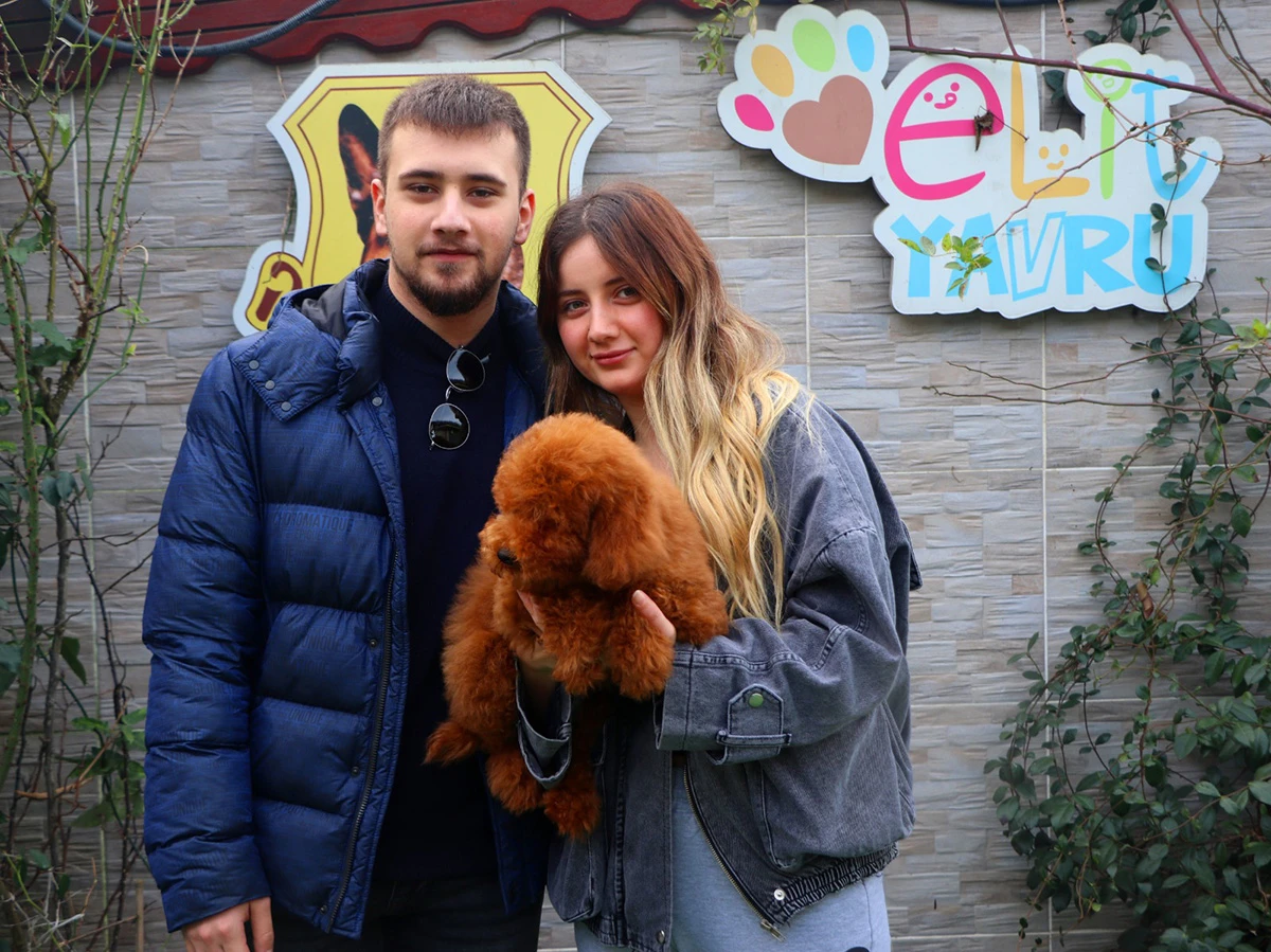 İlksen Hanım Red brown Poodle yavrusuna kavuştu