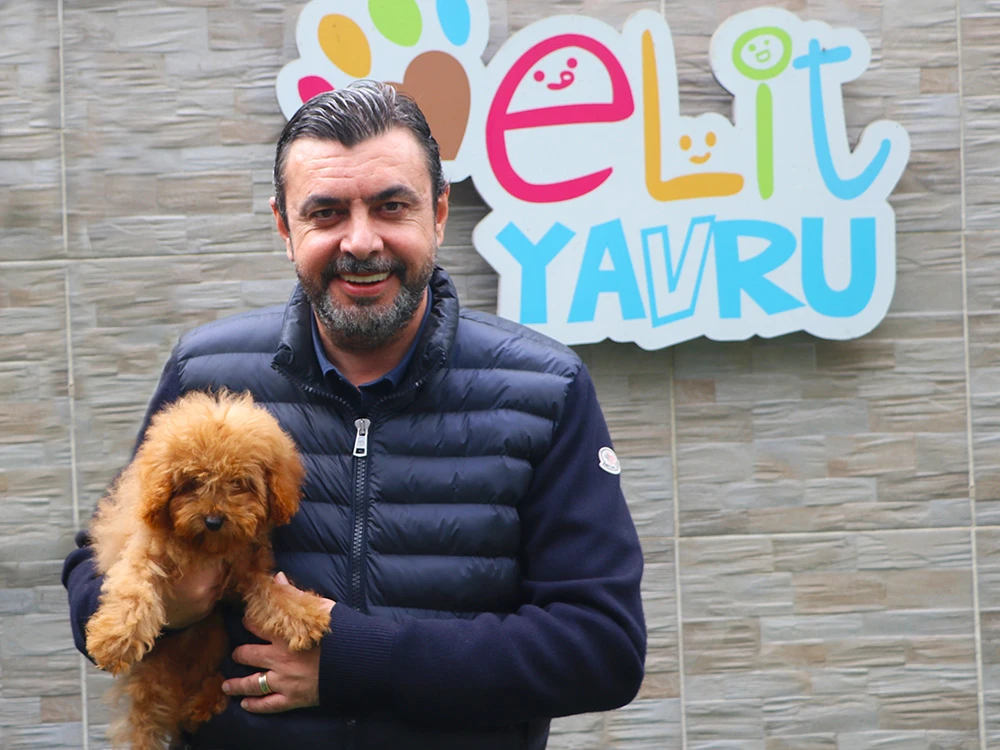 İzmir'den Önder Bey, Poodle elit yavrusuna kavuştu