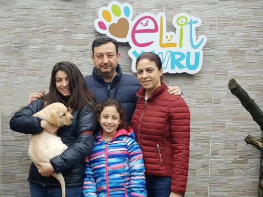 İzmir'den Serkan Bey, Labrador Retriever sahibi oldu