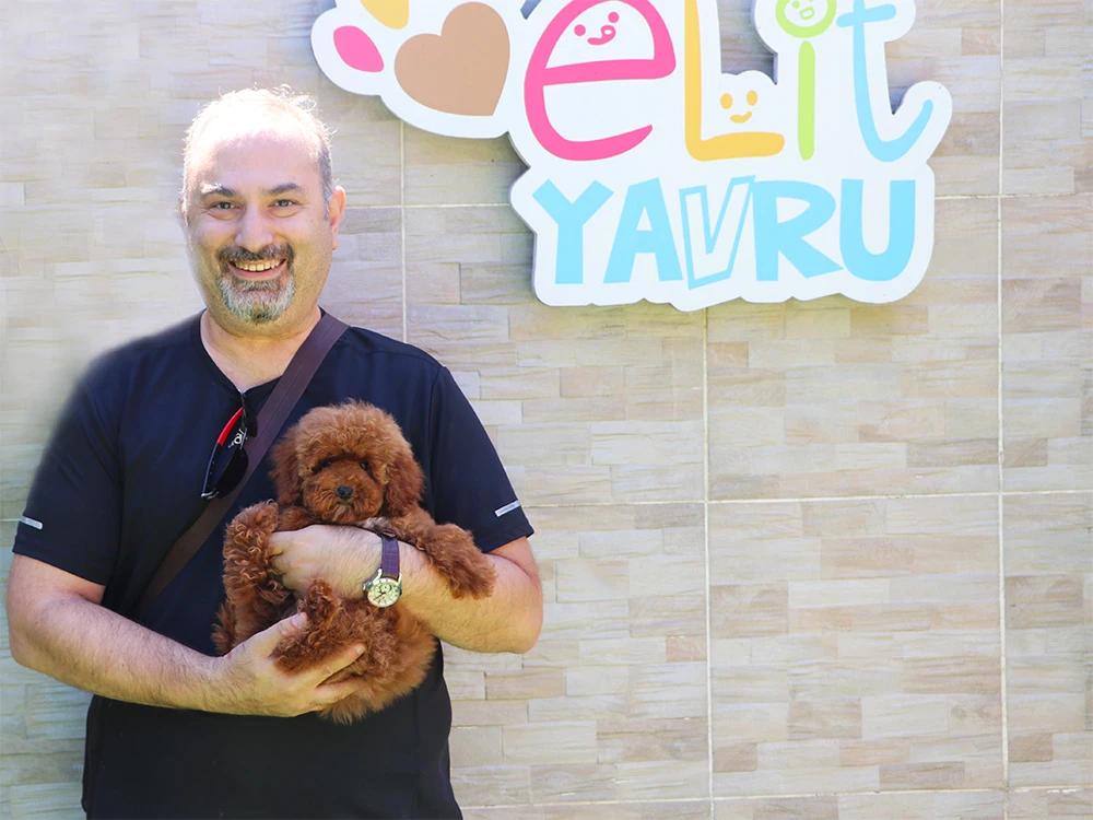 İzmir'den Suat Bey, Toy Poodle elit yavrusuna kavuştu