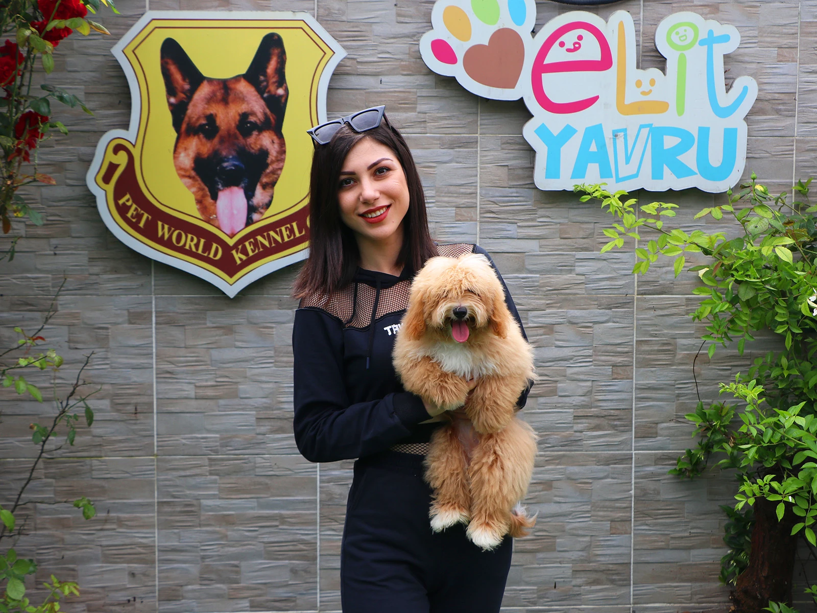 Kayseri'den Selen Hanım Maltipoo yavrusu Mario'ya kavuştu