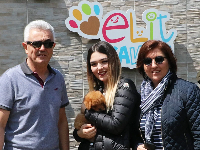 Koçak Ailesi, Toy Poodle elit yavrusuna kavuştu